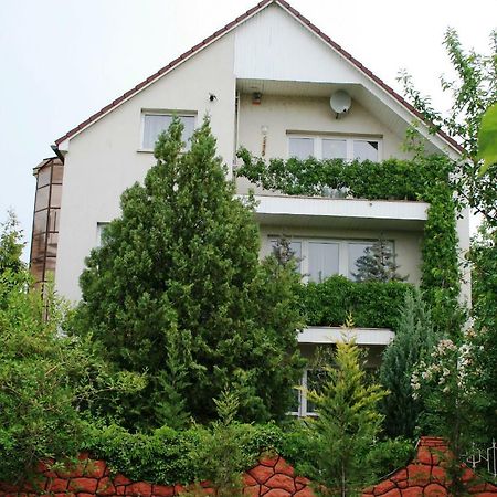 Apartman-Donau Tát エクステリア 写真