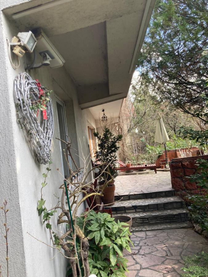 Apartman-Donau Tát エクステリア 写真