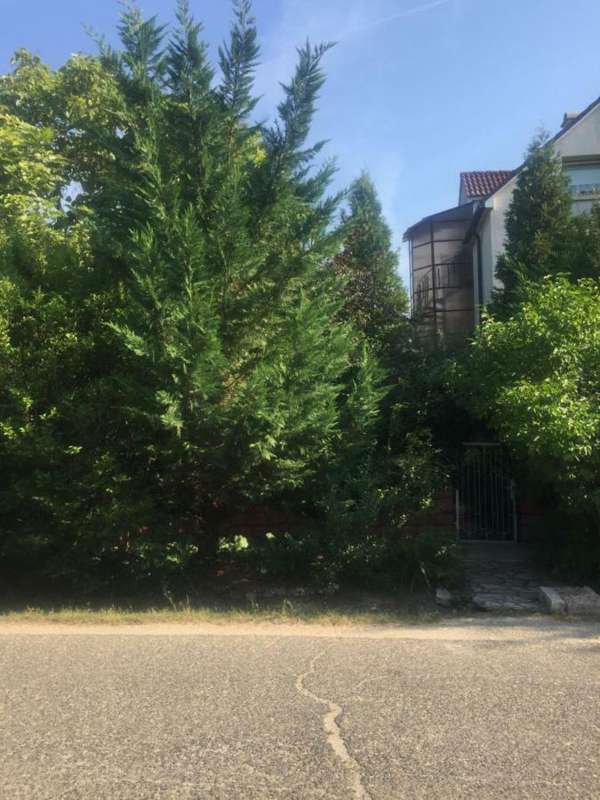 Apartman-Donau Tát エクステリア 写真